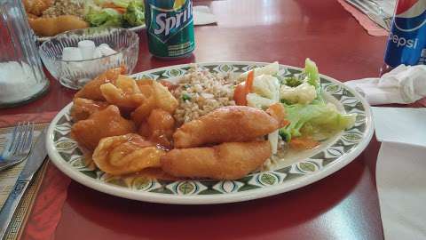 Spot-Lite Chinese Food
